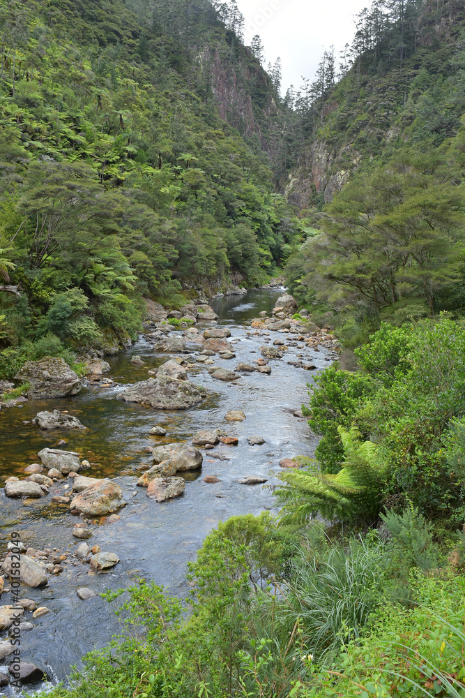 View of Waitawheta River from Windows Walk at Karangahake Gorge