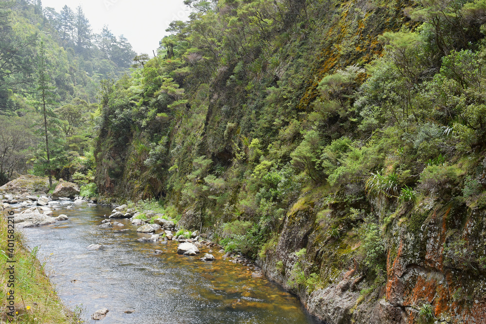 View of Waitawheta River from Windows Walk at Karangahake Gorge View of Waitawheta River from Windows Walk at Karangahake Gorge