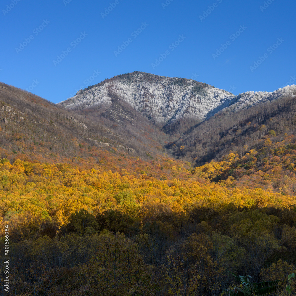 Snow Atop Mt. LeConte in the Fall
