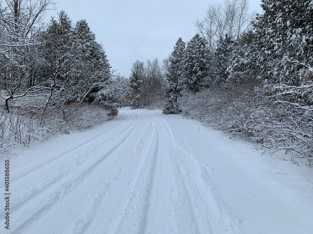 Obraz premium Snowy Road