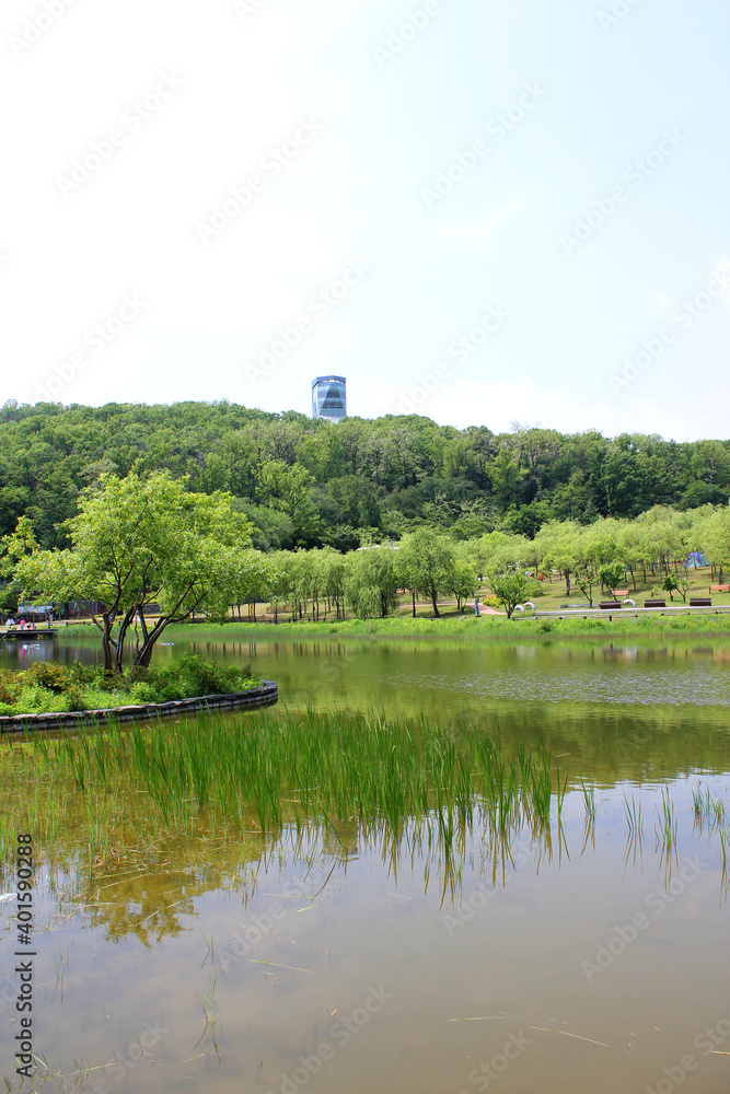 Obraz premium Lake in the spring park. 