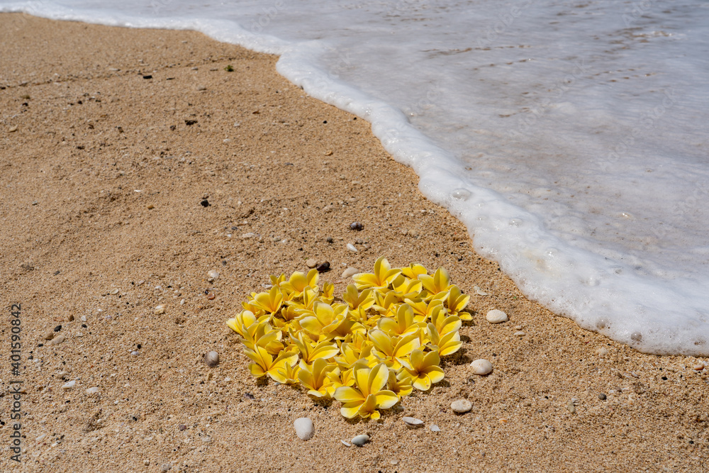 Heart of frangipani flowers on tropical sandy beach. Love concept Heart of frangipani flowers on tropical sandy beach. Love concept