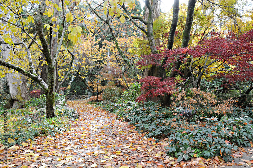 Autumn Garden Autumn Garden