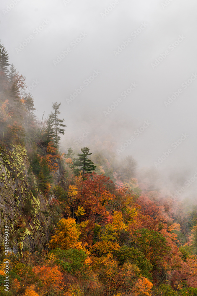 Fall Foliage Landscape waterfall Fall Foliage Landscape waterfall