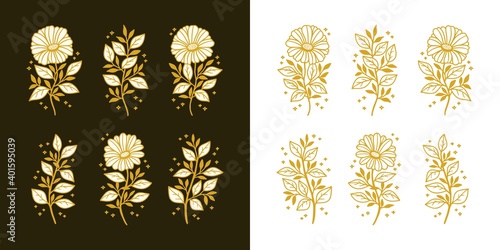 Set of hand drawn vintage botanical daisy, gerbera flower, and floral leaf branch line art elements