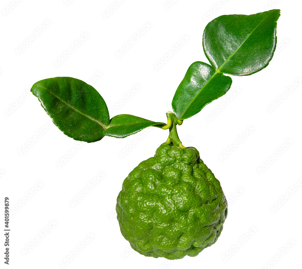 Bergamot fruit and leaf on white background. Clipping path. Bergamot fruit and leaf on white background. Clipping path.