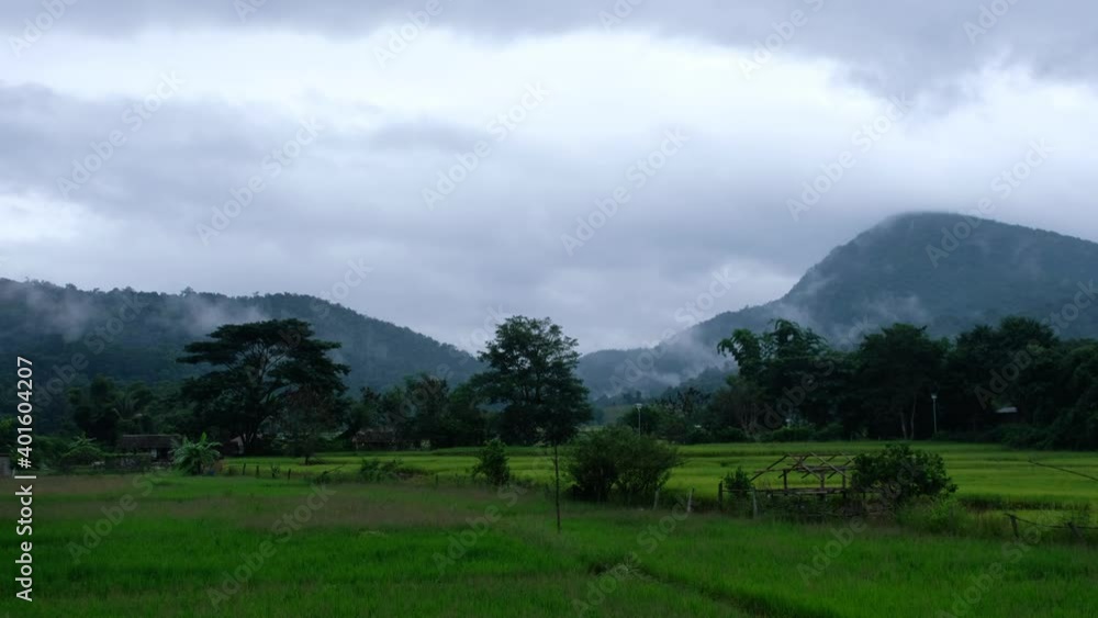 Paddy field with green mountains in asia countryside Paddy field with green mountains in asia countryside