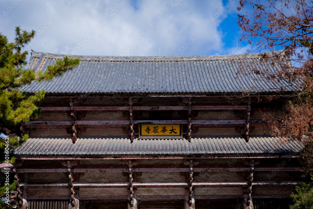 Beautiful Shrines and temples in Nara