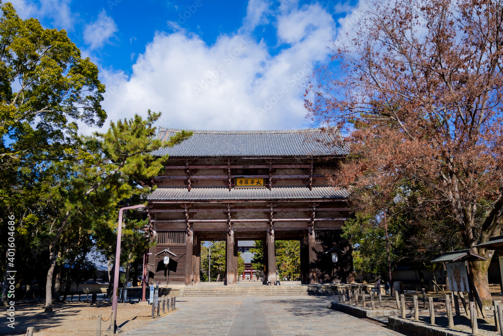 Beautiful Shrines and temples in Nara