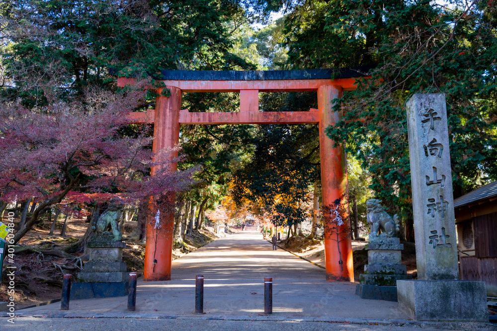Beautiful Shrines and temples in Nara Beautiful Shrines and temples in Nara