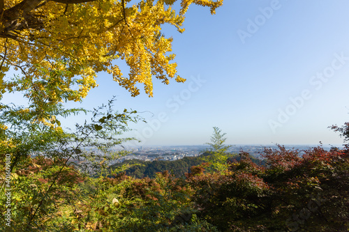 Autumn Gold in Mount Takao photo