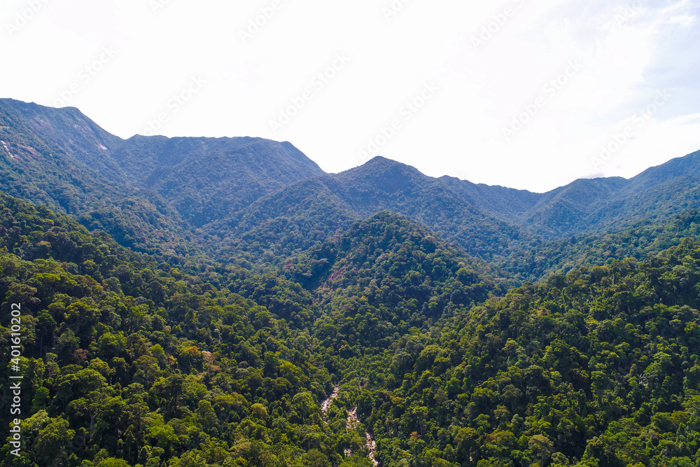 Aerial view tropical green mountain forest