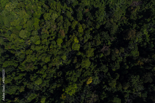 Aerial view tropical green mountain forest