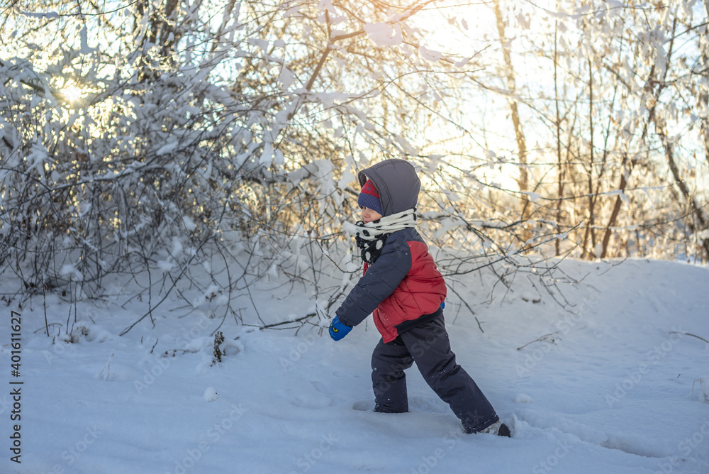 Child is playing with snow on a winter frosty Sunny day among the trees outdoors at sunset
