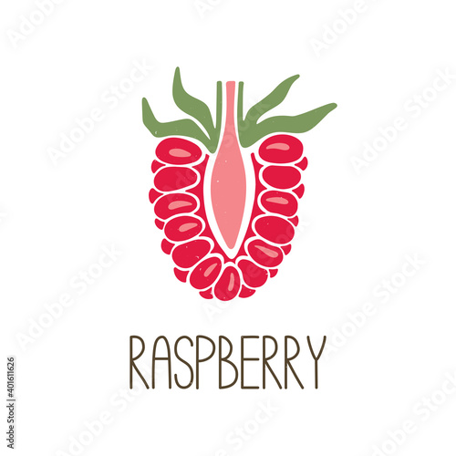 Cute sliced caption raspberry isolated on transparent background. Colorful pictogram original design. Can be used for infographics, identity or decoration. Vector shabby hand drawn illustration