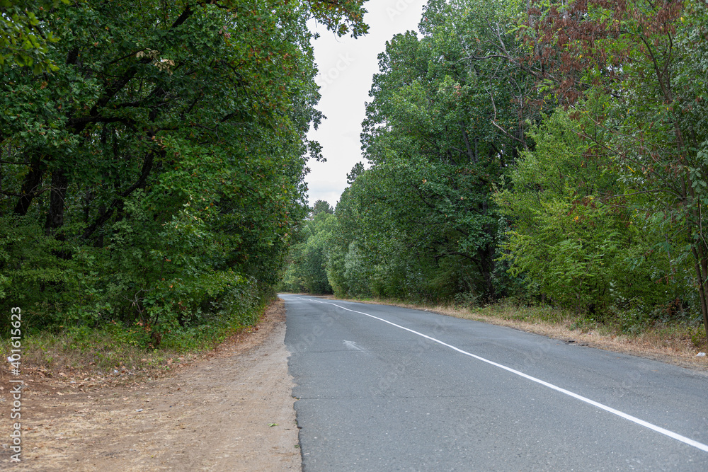 Obraz premium Small road in the forest