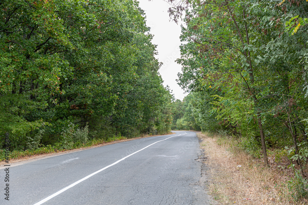 Small road in the forest