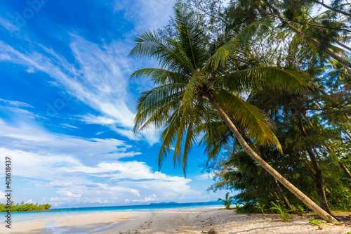 Beautiful summer beach with white sand turquoise ocean against blue sky with clouds and palm tree © themorningglory