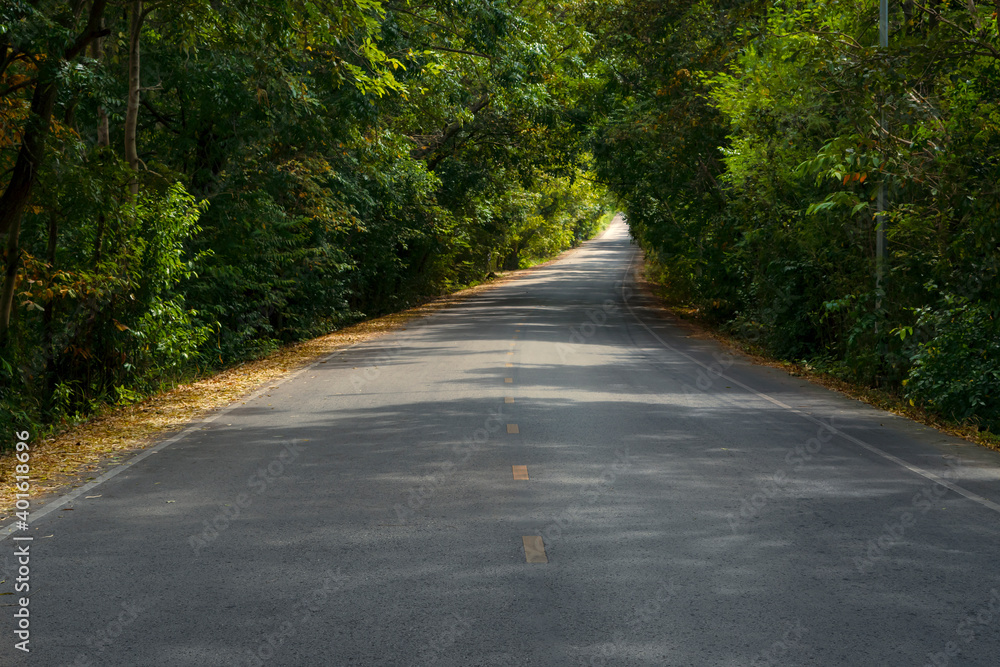 Obraz premium Long asphalt road in Thailand forest.