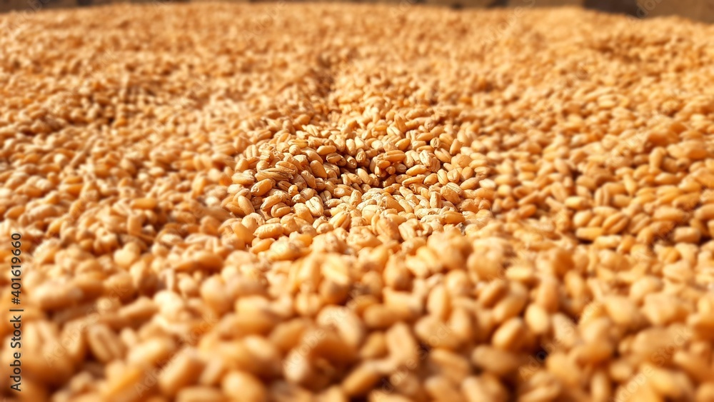 grain background