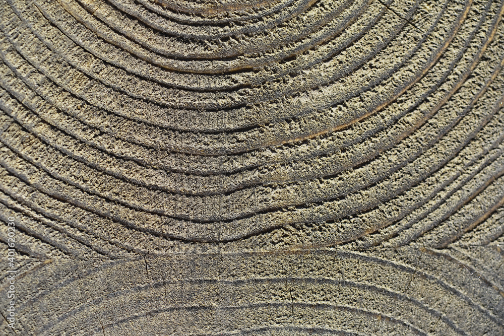 Fototapeta premium Wood texture background. The contrasting texture of the boards. Wooden structure with macro shot.