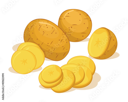 Yellow fresh potato vegetables vector design. Vegetable of farm for market product