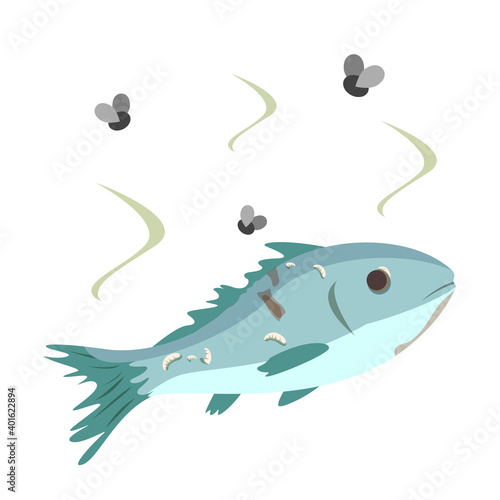 Rotten fish vector isolated. Damaged product, danger for health, concept of food poisoning. Stinky fish, flies flying around the rotten fish.