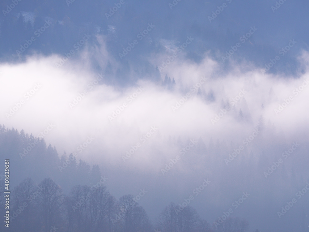 Carpatian mountains at the fog