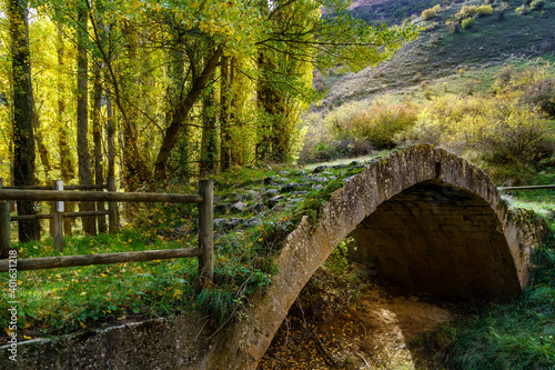Stone bridge in the forest. Autumn landscape with yellow trees and leaves on the ground. 