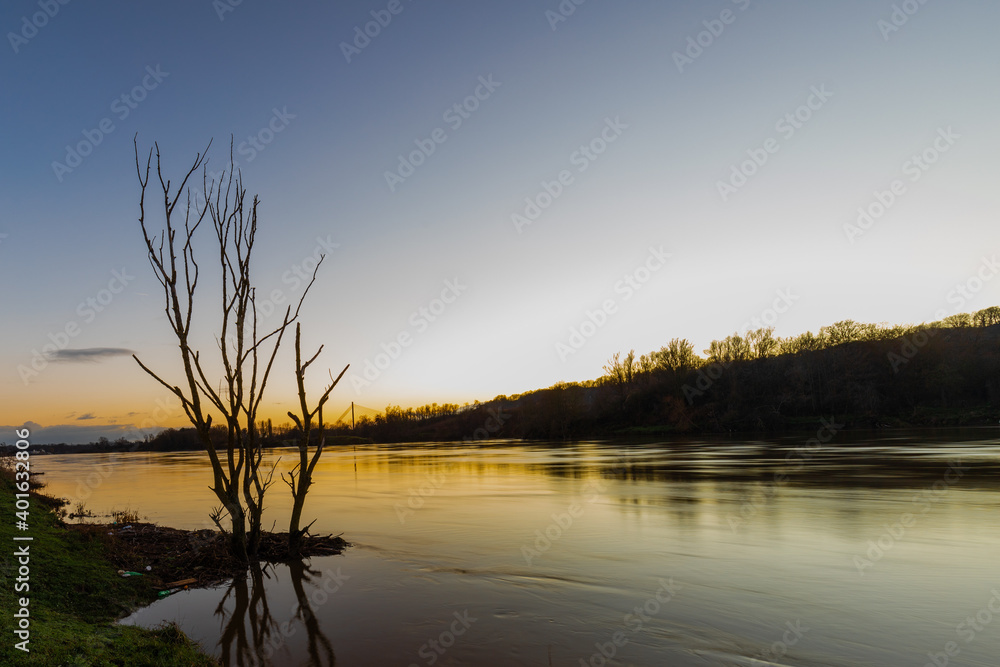Fototapeta premium Floods of the river Meuse during winter time in the national park Eijsder Beemden (english: Eijsder Beemden) near Maastricht, which gives wonderful reflections of the trees during sunset.