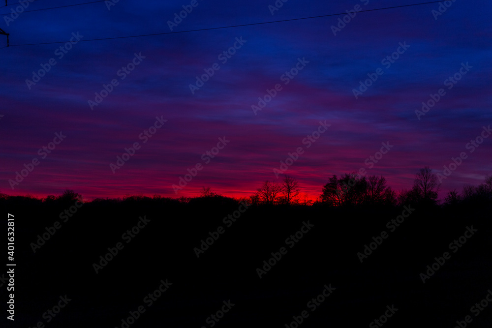 Silhouette of trees against the backdrop of a colorful sunset pink purple blue cloudy sky. Photo minimalism.