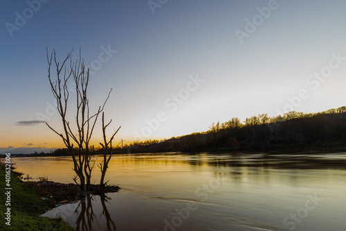 Floods of the river Meuse during winter time in the national park Eijsder Beemden (english: Eijsder Beemden) near Maastricht, which gives wonderful reflections of the trees during sunset.