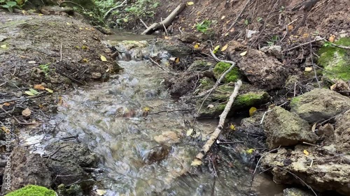 Close-up of a stream in the forest with clean, clear drinking water on a sunny summer day