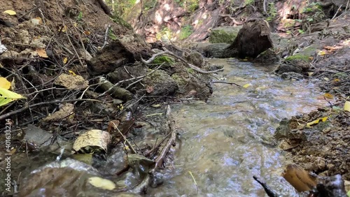 Close-up of a stream in the forest with clean, clear drinking water on a sunny summer day