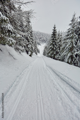 Road through the forest in the winter © Xalanx