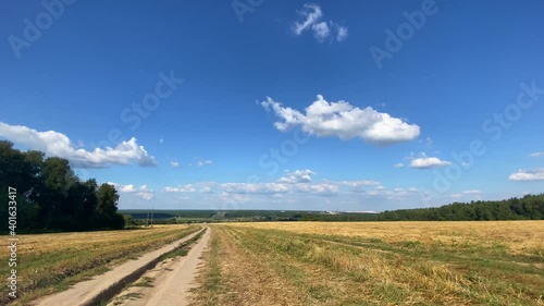 A field of harvested wheat is illuminated by the bright summer sun. White clouds float in the blue sky.