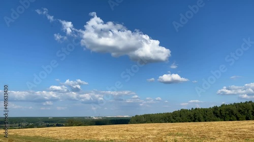A field of harvested wheat is illuminated by the bright summer sun. White clouds float in the blue sky.