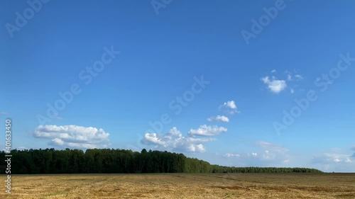 A field of harvested wheat is illuminated by the bright summer sun. White clouds float in the blue sky.