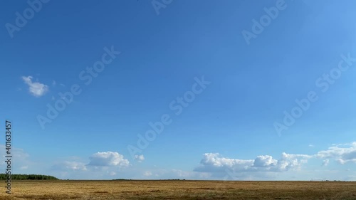 A field of harvested wheat is illuminated by the bright summer sun. White clouds float in the blue sky.