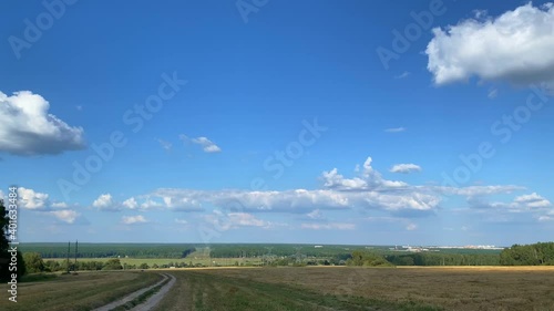 A field of harvested wheat is illuminated by the bright summer sun. White clouds float in the blue sky.
