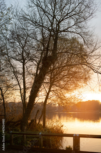 sunrise on the lake