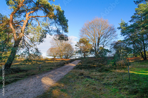 Landscape Wekerom photo