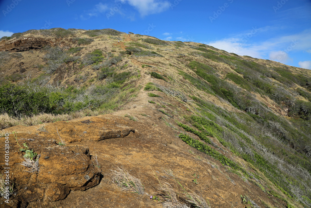 The trail on the ridge - Oahu, Hawaii
