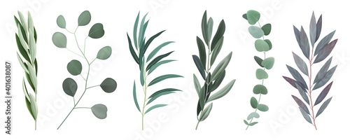 Realistic Eucalyptus Branches Set