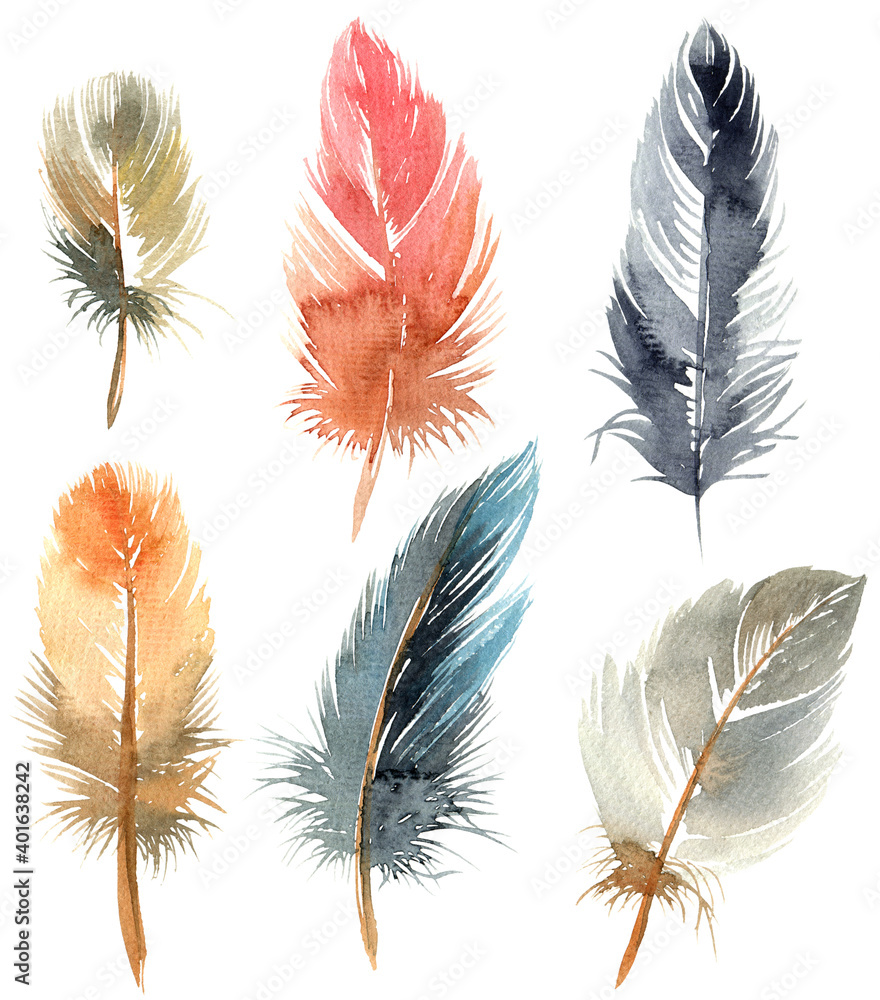 Watercolor bird feathes Watercolor bird feathes