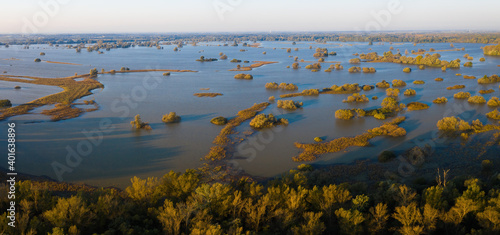 Flooded inundation of Moravia river with water outside riverbanks. Aerial view of water standing on floodplain meadows and between trees. Morning sun illuminating nature scenery. © WildMedia