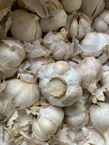 close up fresh garlic in market