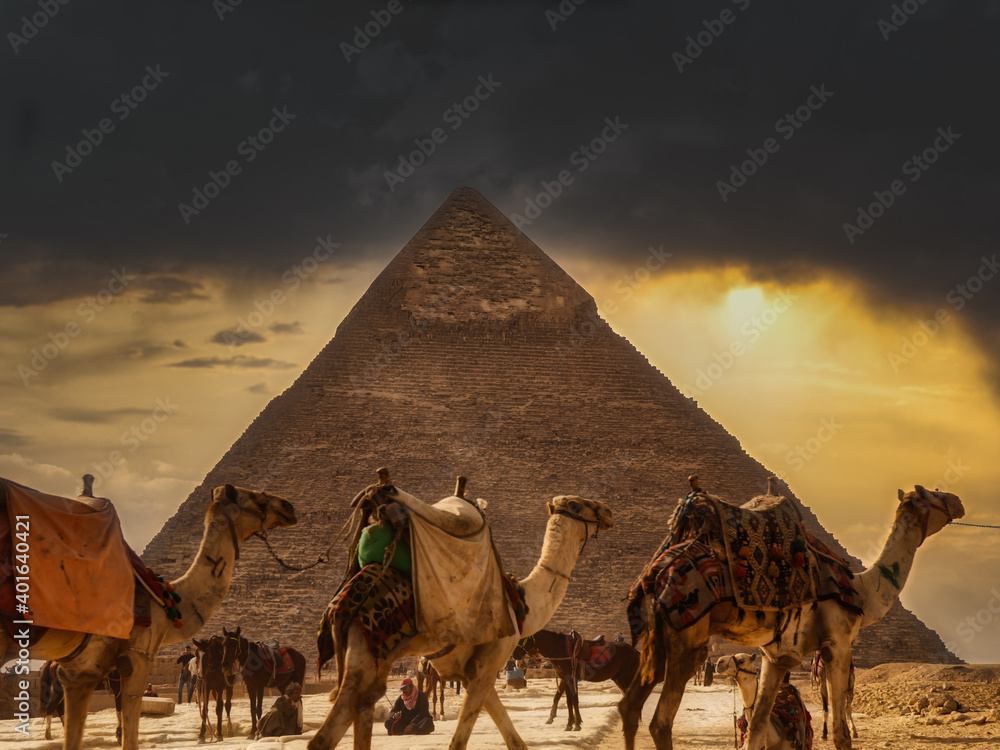 Giza, Egypt - January 29, 2020 - Tourist bustle with camels and people in front of a pyramid