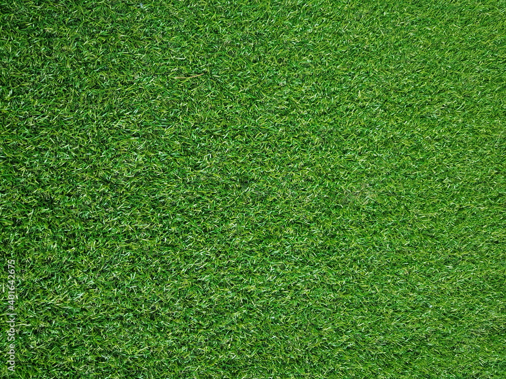 Obraz premium green grass background