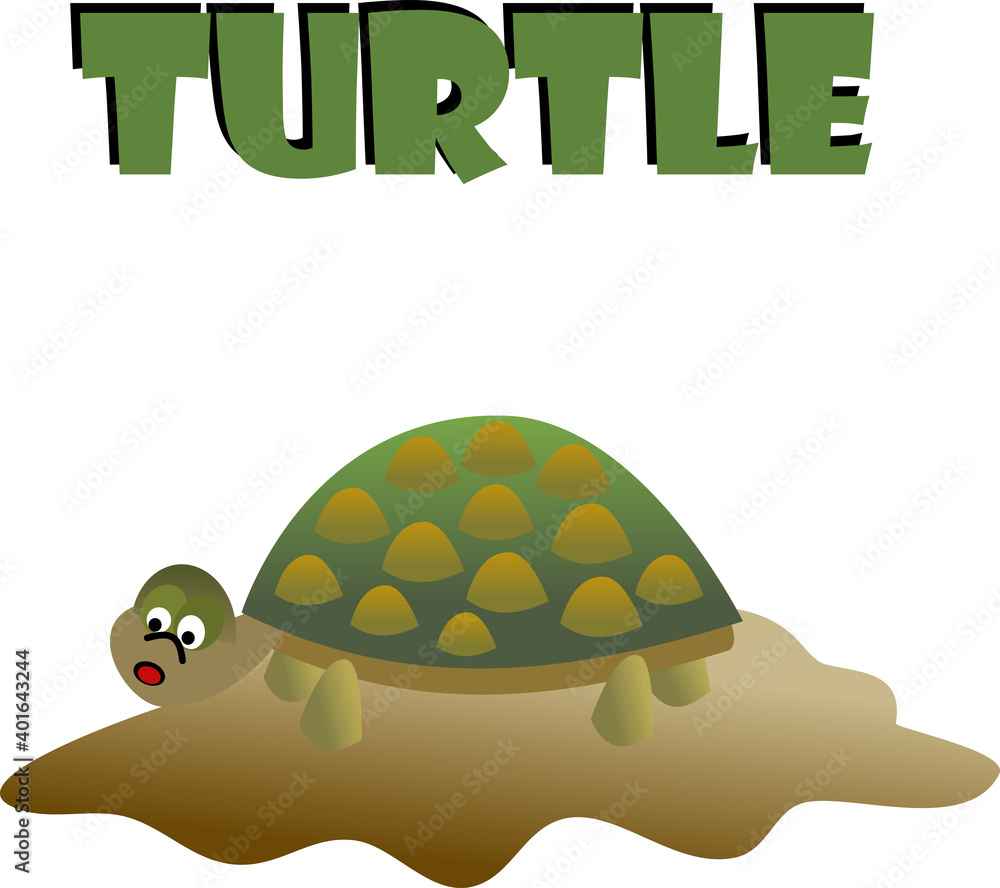 Image of a turtle walking